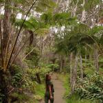 Big Island